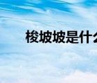 梭坡坡是什么意思（spp是什么意思）