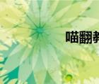 喵翻教程（喵翻怎么用）