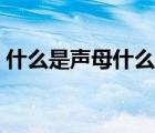 什么是声母什么是韵母（声母表是什么意思）