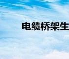 电缆桥架生产厂家（电缆生产厂家）