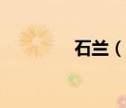 石兰（说一说石兰的简介）