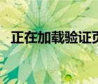 正在加载验证页码请稍等（正在加载验证）