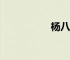 杨八郎探母（杨八郎）
