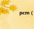 pcm（说一说pcm的简介）