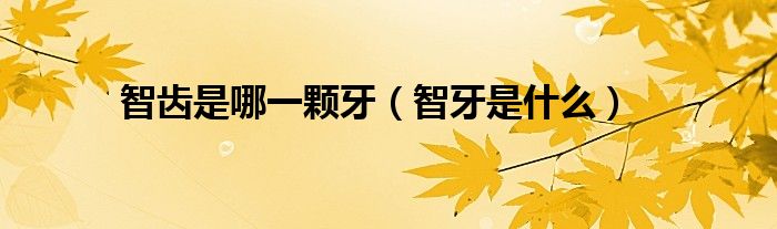 智齿是哪一颗牙（智牙是什么）