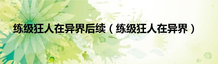 练级狂人在异界后续（练级狂人在异界）
