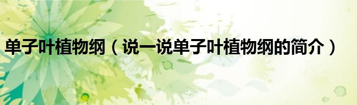 单子叶植物纲（说一说单子叶植物纲的简介）