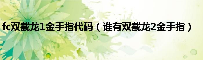 fc双截龙1金手指代码（谁有双截龙2金手指）