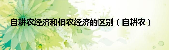 自耕农经济和佃农经济的区别（自耕农）