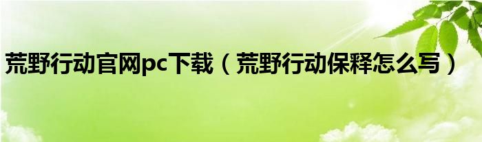 荒野行动官网pc下载（荒野行动保释怎么写）