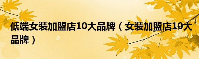 低端女装加盟店10大品牌（女装加盟店10大品牌）