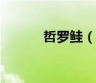 哲罗鲑（说一说哲罗鲑的简介）