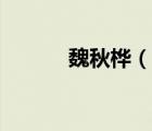 魏秋桦（说一说魏秋桦的简介）