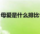母爱是什么排比句三个（母爱是什么 排比句）