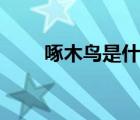 啄木鸟是什么app（bt蚂蚁啄木鸟）
