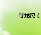 寻龙尺（说一说寻龙尺的简介）