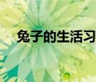 兔子的生活习性和特点（白鲸生活习性）