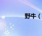 野牛（说一说野牛的简介）