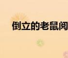 倒立的老鼠阅读理解答案（倒立的老鼠）
