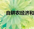 自耕农经济和佃农经济的区别（自耕农）