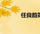 任良韵第三任丈夫（任良韵）