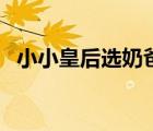 小小皇后选奶爸笔趣阁（小小皇后选奶爸）