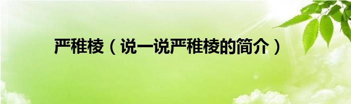 严稚棱（说一说严稚棱的简介）