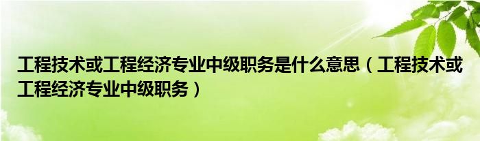 工程技术或工程经济专业中级职务是什么意思（工程技术或工程经济专业中级职务）
