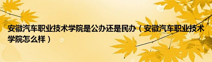 安徽汽车职业技术学院是公办还是民办（安徽汽车职业技术学院怎么样）