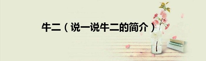 牛二（说一说牛二的简介）