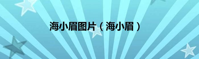 海小眉图片（海小眉）