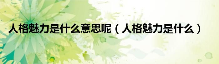 人格魅力是什么意思呢（人格魅力是什么）