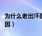 为什么老出汗是什么原因女（出黄汗是什么原因）
