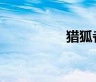 猎狐者西瓜（猎狐者x）