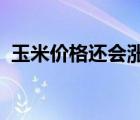 玉米价格还会涨吗2016（玉米价格还会涨）