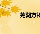 芜湖方特梦幻王国有哪些项目