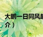 大鹏一日同风起（说一说大鹏一日同风起的简介）