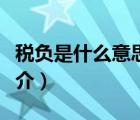 税负是什么意思（说一说税负是什么意思的简介）
