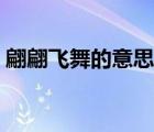翩翩飞舞的意思怎么解释（翩翩飞舞的意思）