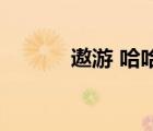 遨游 哈哈（遨游哈哈mx主页）