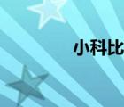 小科比来广东队（小科比）
