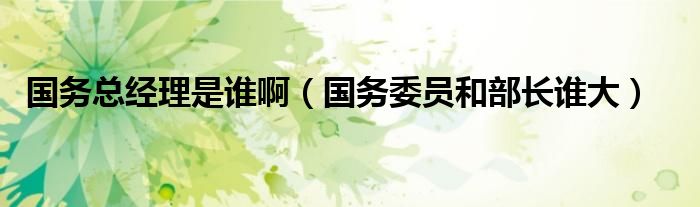 国务总经理是谁啊（国务委员和部长谁大）