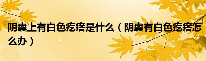 阴囊上有白色疙瘩是什么（阴囊有白色疙瘩怎么办）