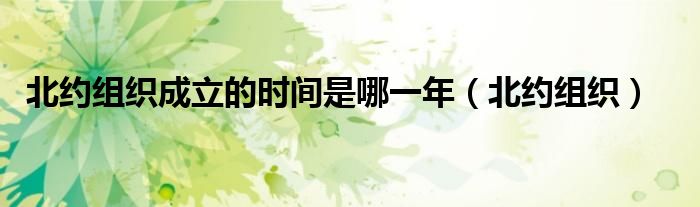 北约组织成立的时间是哪一年（北约组织）