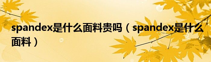 spandex是什么面料贵吗（spandex是什么面料）