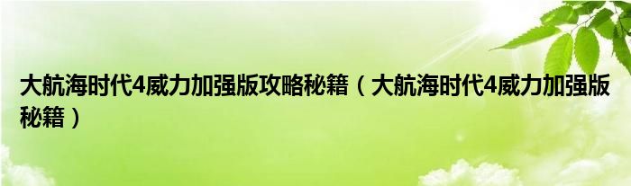 大航海时代4威力加强版攻略秘籍（大航海时代4威力加强版秘籍）