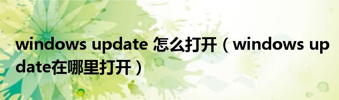windows update 怎么打开（windows update在哪里打开）