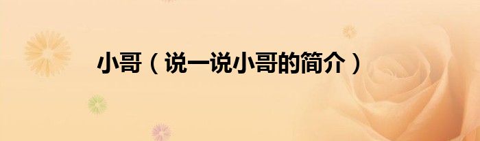 小哥（说一说小哥的简介）