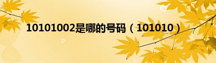 10101002是哪的号码（101010）