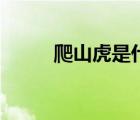 爬山虎是什么科（爬山虎的介绍）